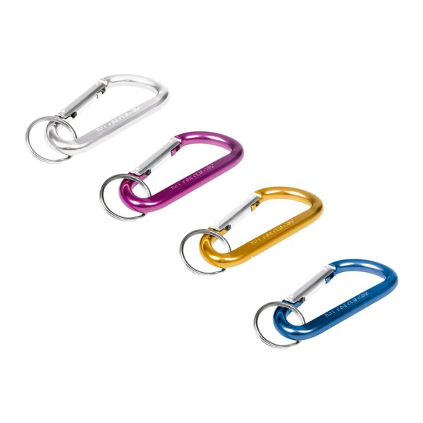 PECERA CON LLAVEROS TIPO MOSQUETON, 30 PIEZAS PE-BAN-30