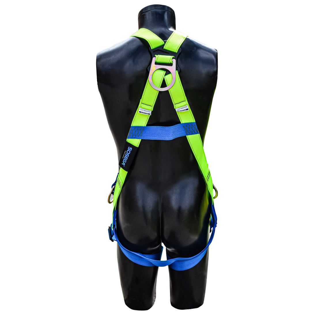 ARNES EN X 4 ARGOLLAS (GREEN & BLUE) MARCA SOSEGA